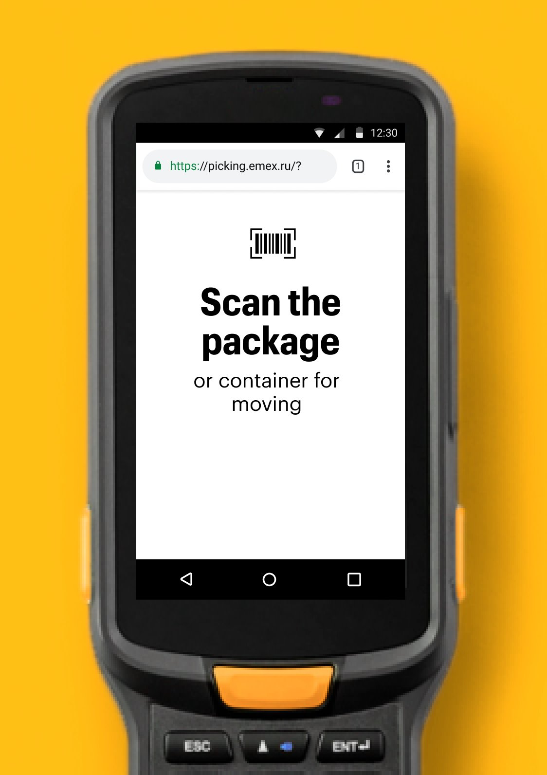 Scanning a parcel in the Emex design system